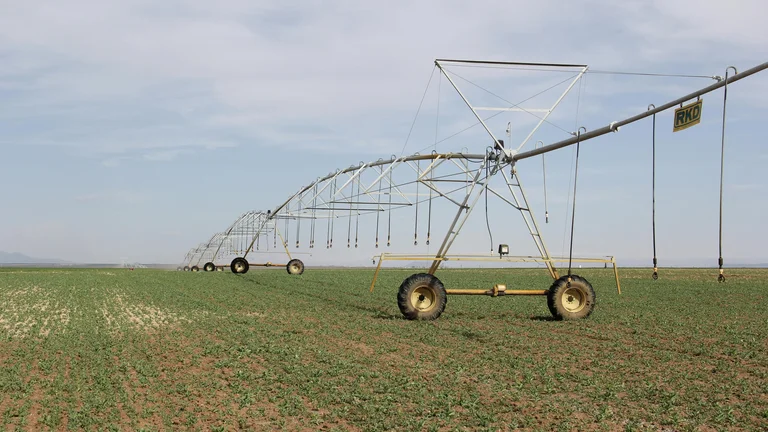 Bioinsumos: A Revolução na Agricultura Sustentável