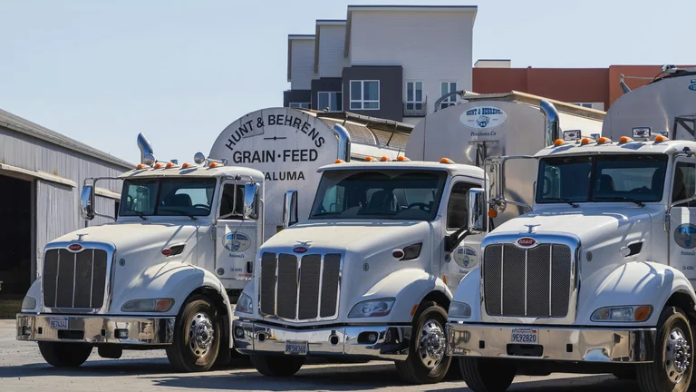 Transporte de Grãos: Pilar da Agricultura Moderna