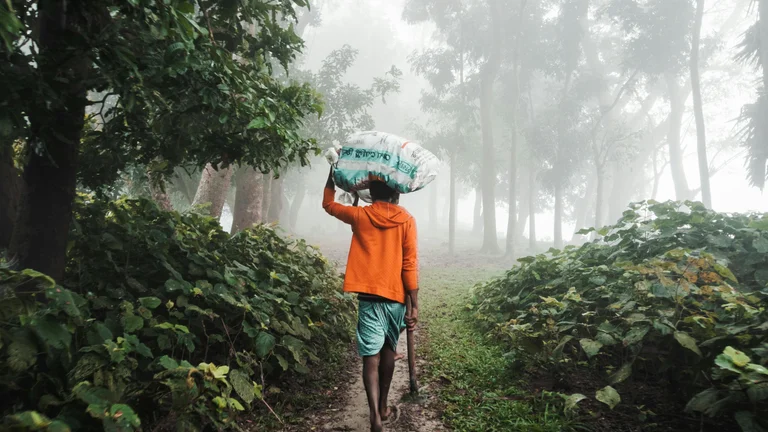 Agro no Brasil: Inovação, Tradição e Economia