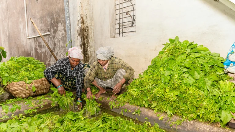 Descubra os Benefícios da Agricultura Orgânica
