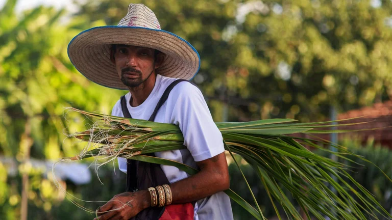 Biotecnologia na Agricultura: Inovações e Benefícios