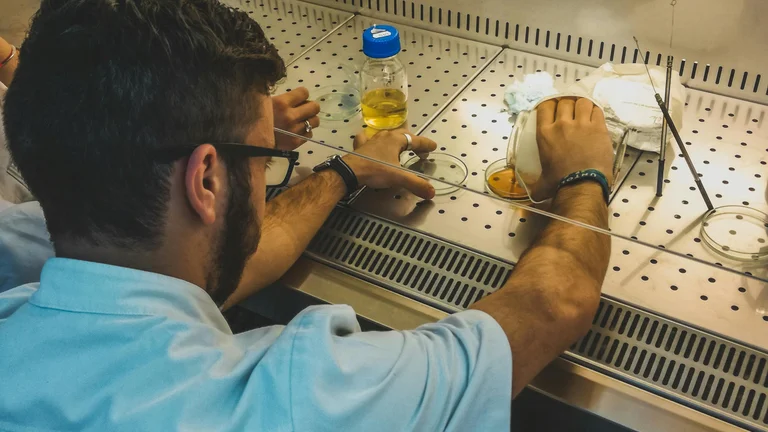 Descubra o que é Biotecnologia e suas Aplicações
