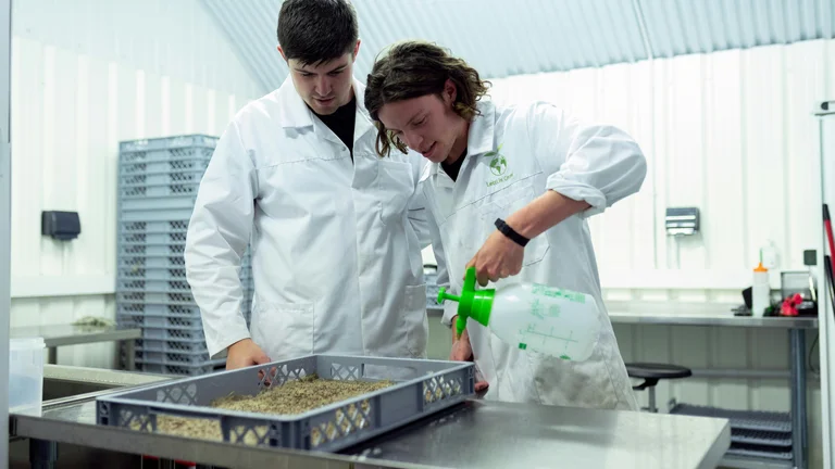 Descubra a Genética Vegetal e Suas Aplicações