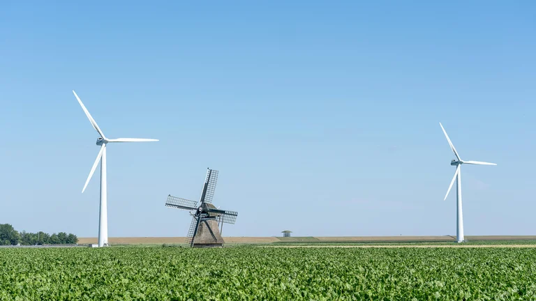 Desafios e Oportunidades da Sustentabilidade Rural