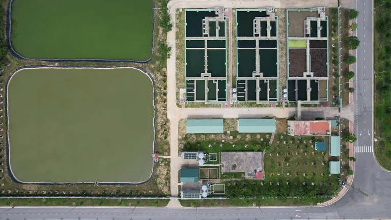 Cadeia da Piscicultura: Sustentabilidade e Inovação