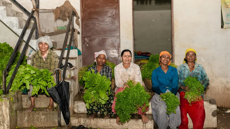 A Importância da Agricultura Familiar na Sustentabilidade