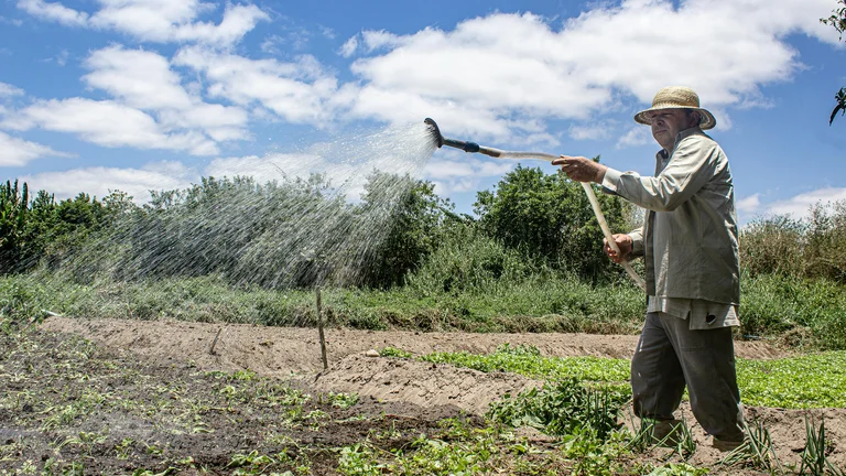 O Guia Completo da Agricultura Sustentável