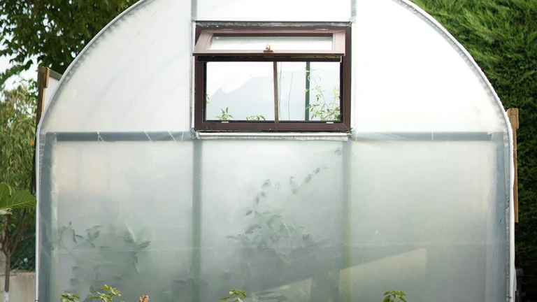 Permacultura: Criando Ambientes Sustentáveis