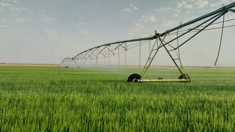 IoT na Agricultura: Transformação e Eficiência
