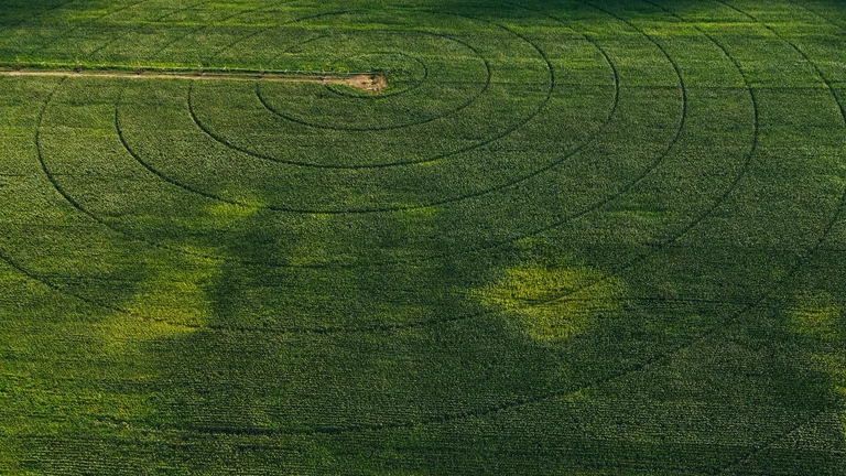Uso da Água na Agricultura: Desafios e Soluções Sustentáveis