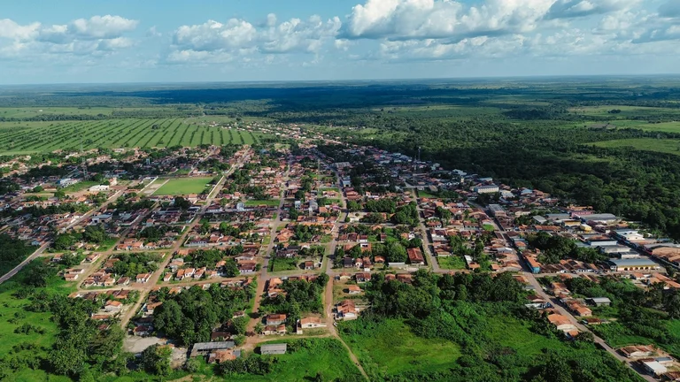 Desmatamento e Expansão Agrícola no Brasil: Causas e Consequências