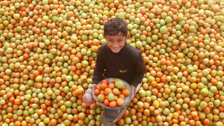 Segurança Alimentar: Acesso a Alimentos Nutritivos