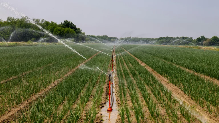 Agricultura Climáticamente Inteligente: Soluções para o Clima