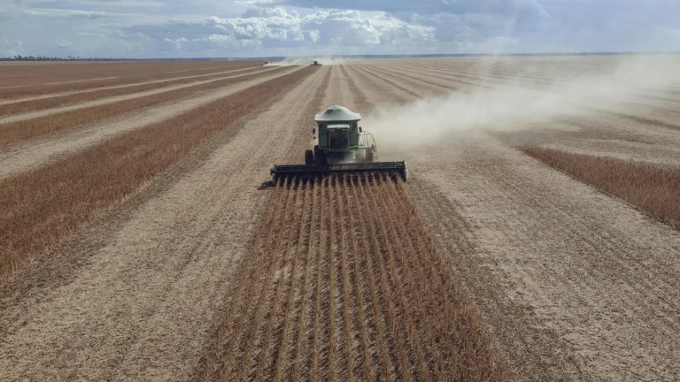 Cultivo de Soja: História e Importância no Brasil