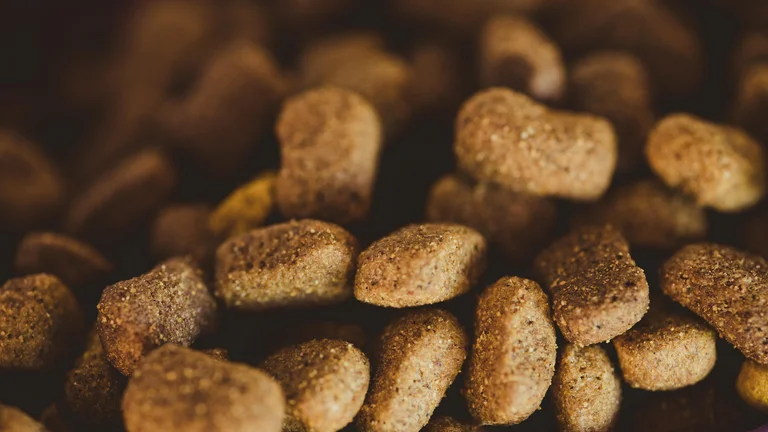 Importância da Nutrição Animal para a Saúde