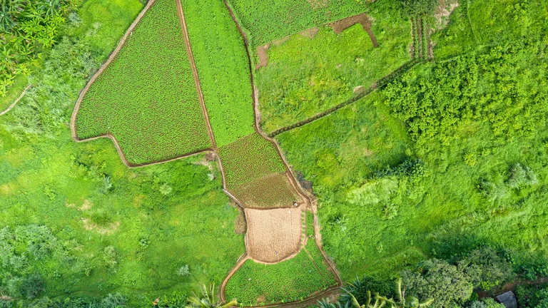 Conservação do Solo: Essencial para a Agronomia