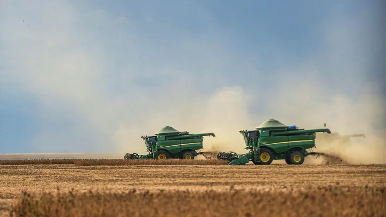 Cadeia da Soja: Produção e Impactos no Brasil