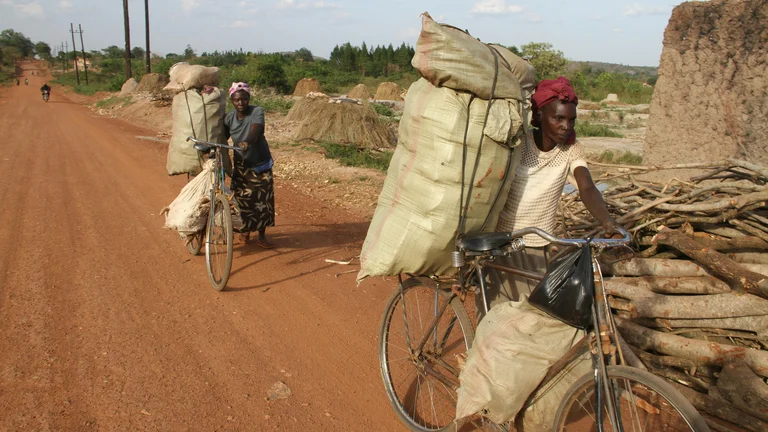 O Impacto da Agricultura Familiar na Economia Rural Brasileira