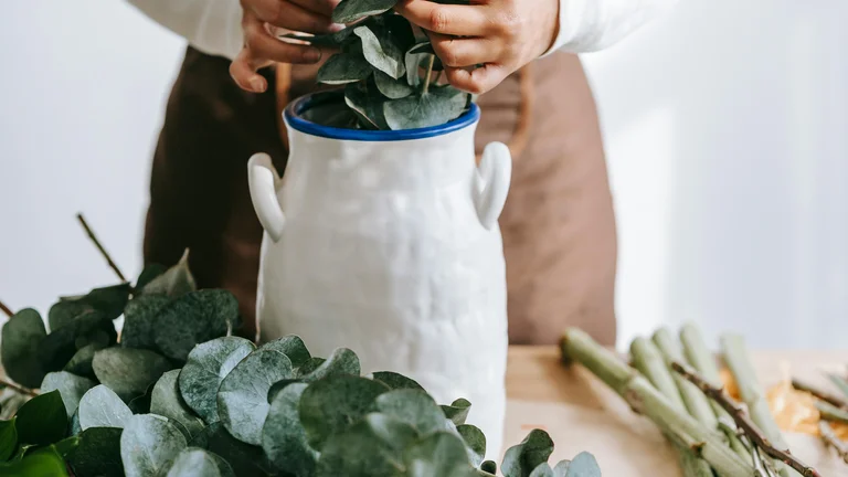 Como Cultivar Microgreens em Casa Facilmente